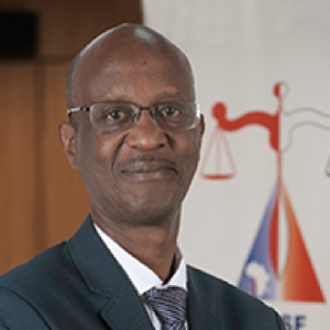 Mr. Stephen Karangizi